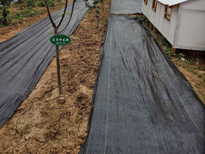 1-200520104420[1].jpg